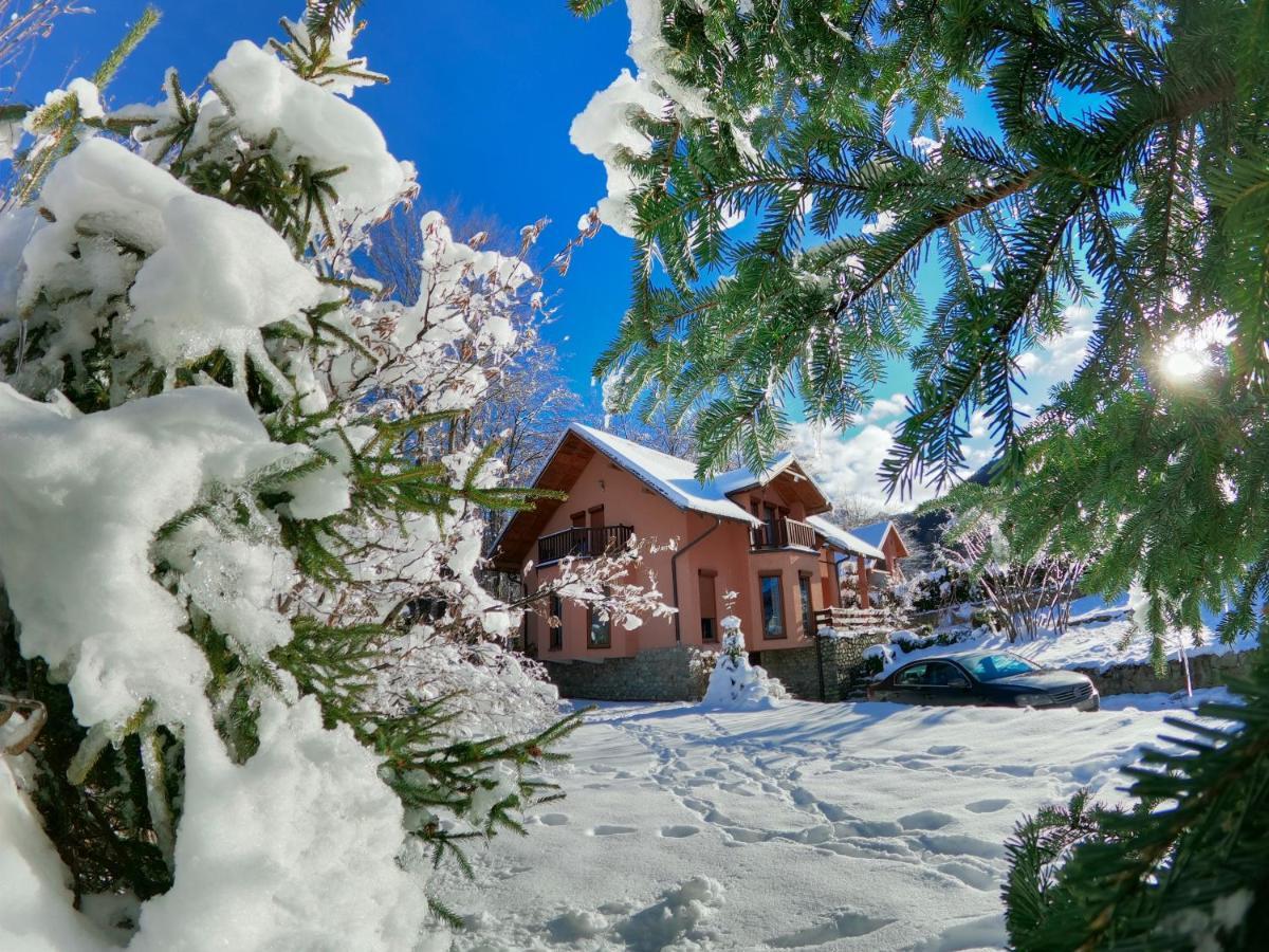 De La Villa Brezoviça Dış mekan fotoğraf