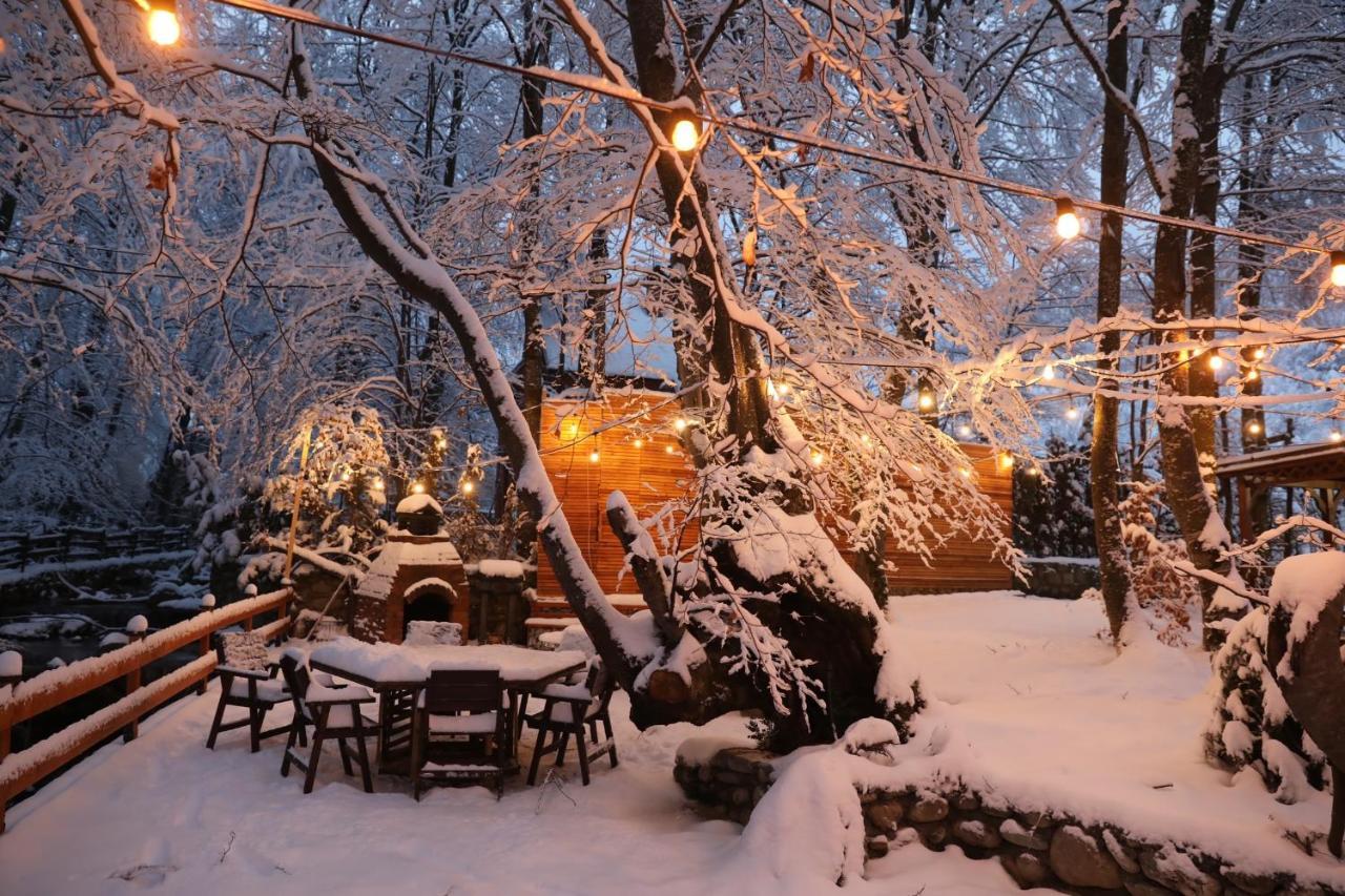 De La Villa Brezoviça Dış mekan fotoğraf