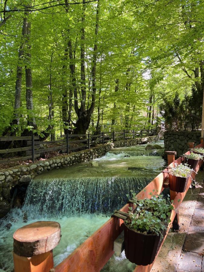 De La Villa Brezoviça Dış mekan fotoğraf