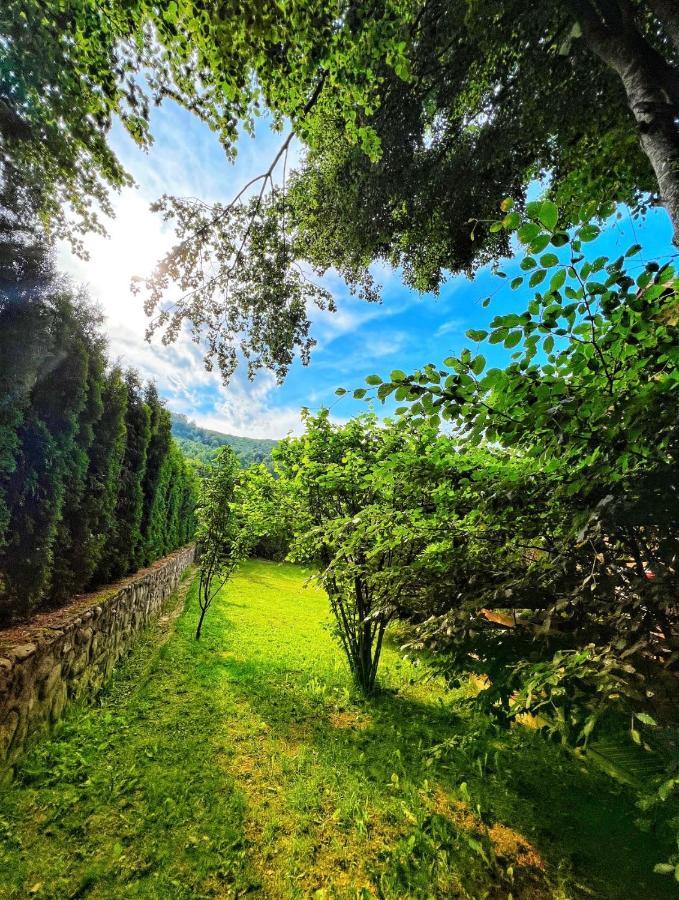 De La Villa Brezoviça Dış mekan fotoğraf