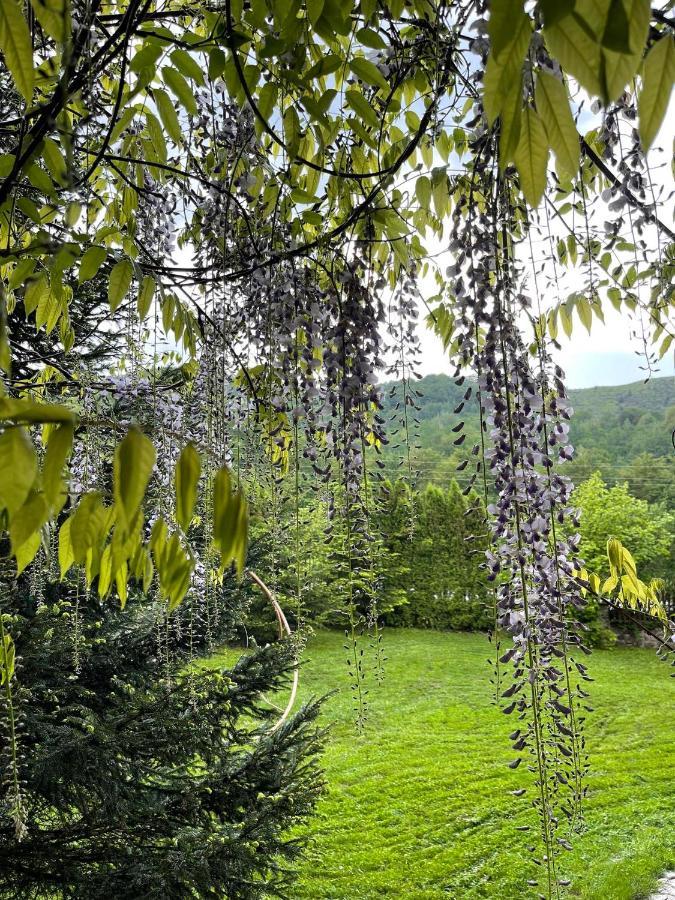 De La Villa Brezoviça Dış mekan fotoğraf